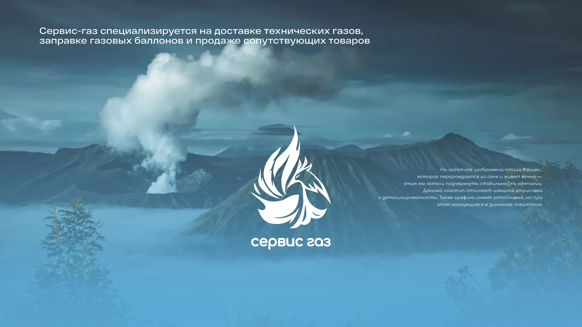 Создание сайта компании «Сервис газ» в Бикине