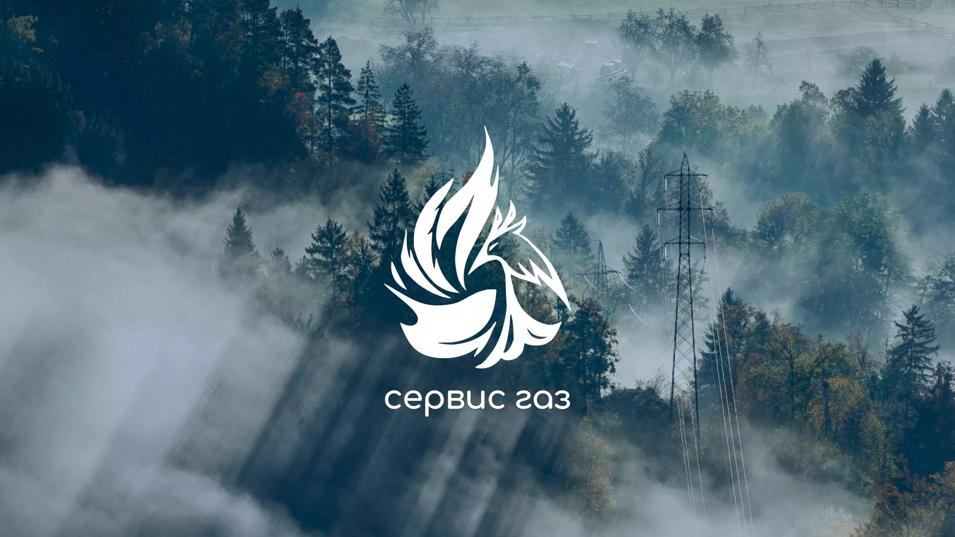 Создание сайта компании «Сервис газ» в Бикине