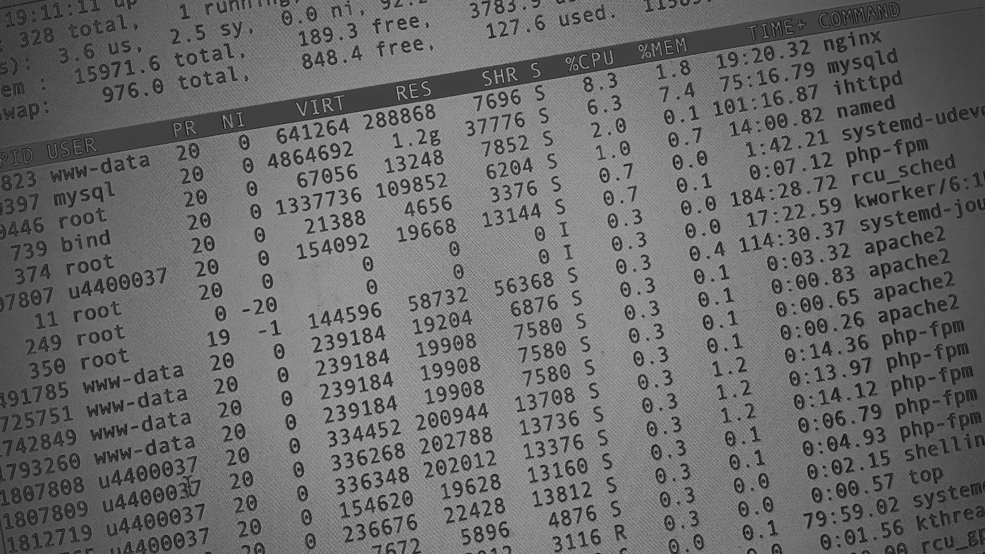 Настройка сервера в Бикине