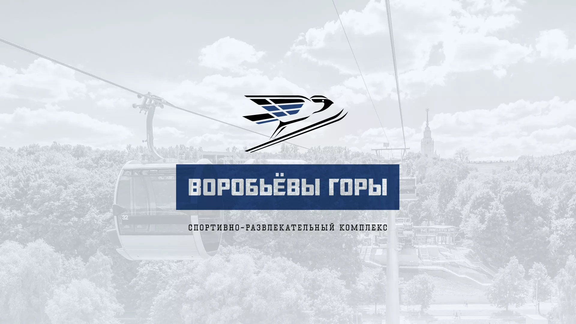 Разработка сайта в Бикине для спортивно-развлекательного комплекса «Воробьёвы горы»