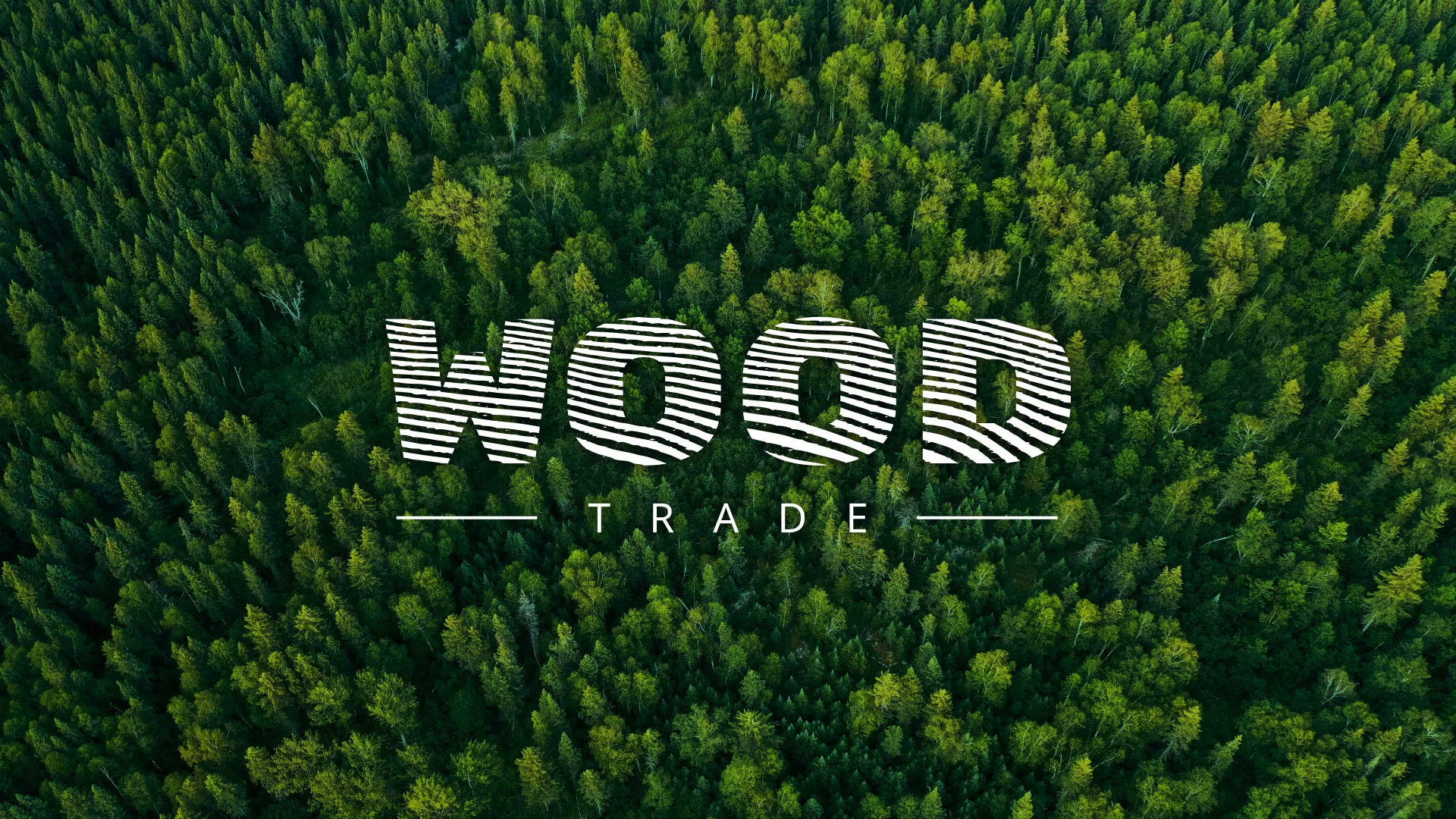 Разработка интернет-магазина компании «Wood Trade» в Бикине