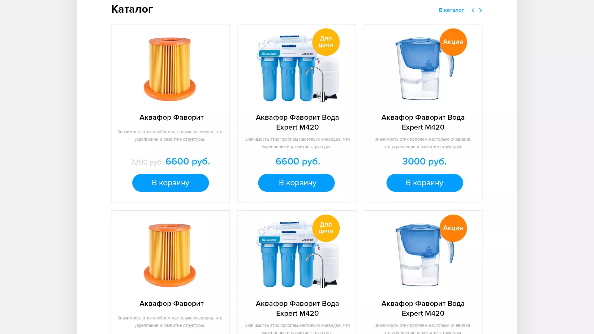 Создание интернет-магазина «Водолей» по продаже фильтров очистных сооружений в Бикине