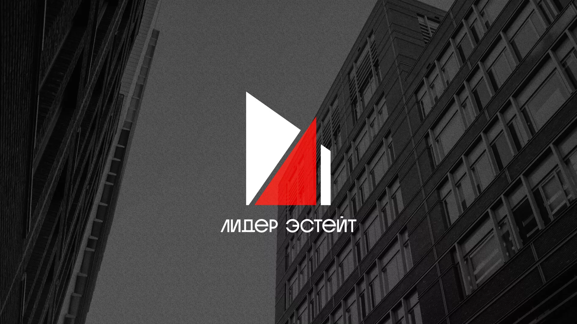 Сделали логотип для агентства недвижимости «Лидер Эстейт» в Бикине